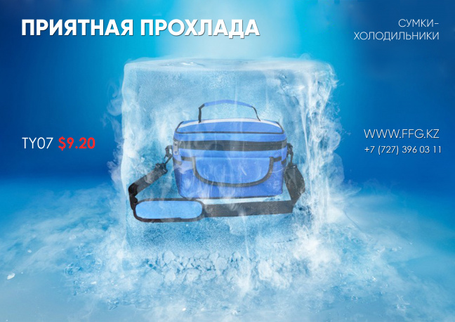 Сумки холодильники