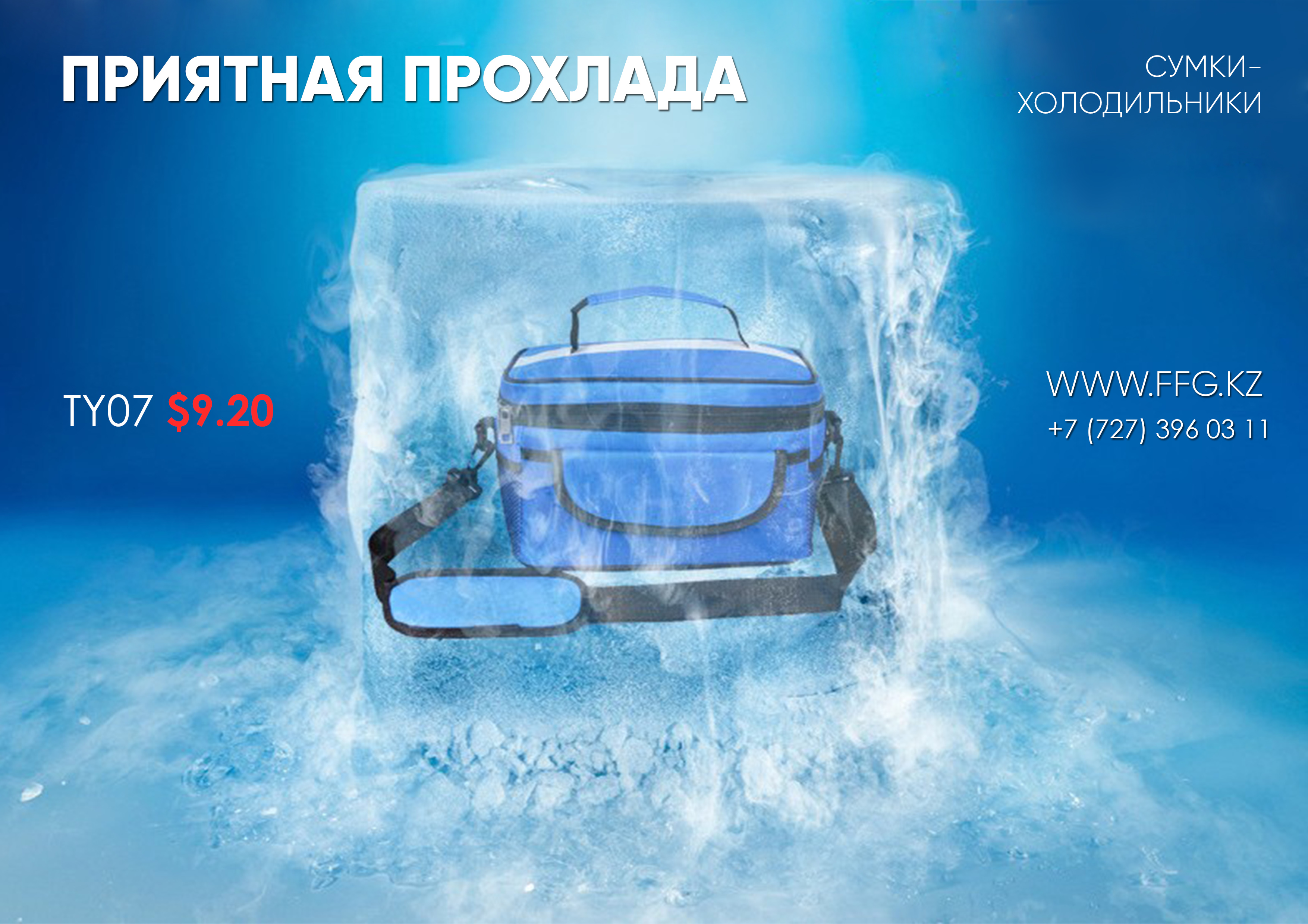 Сумки холодильники